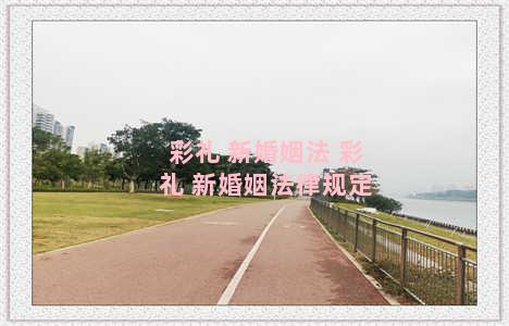 彩礼 新婚姻法 彩礼 新婚姻法律规定